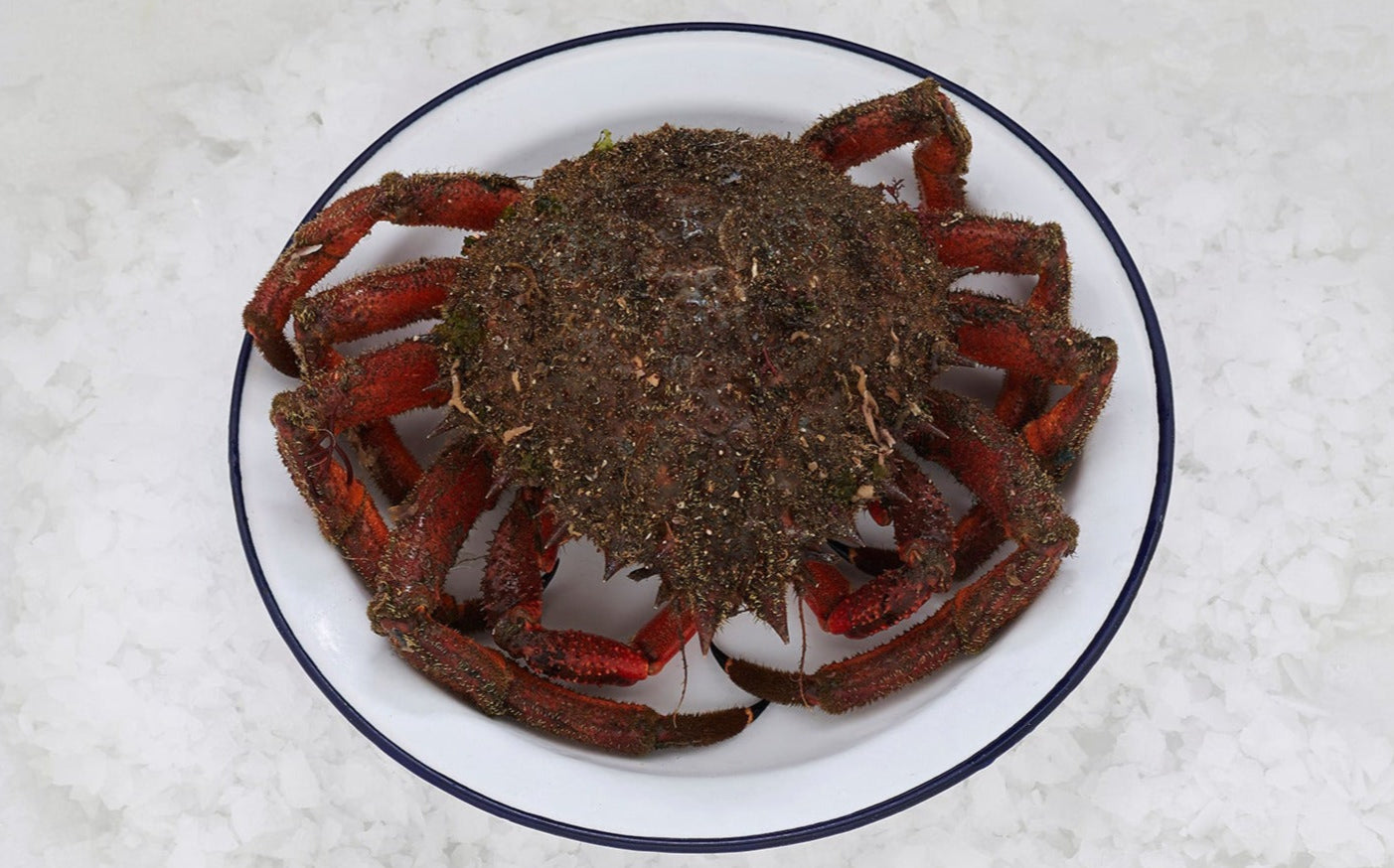 plato con centolla sobre cama de hielo