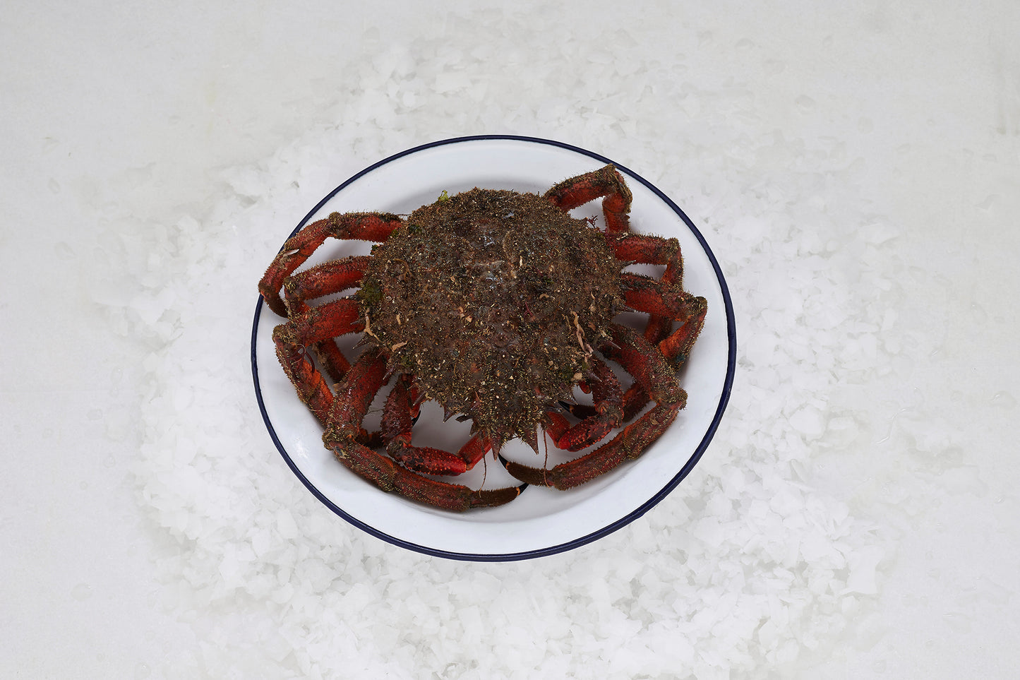 plato blanco y borde azul con centolla