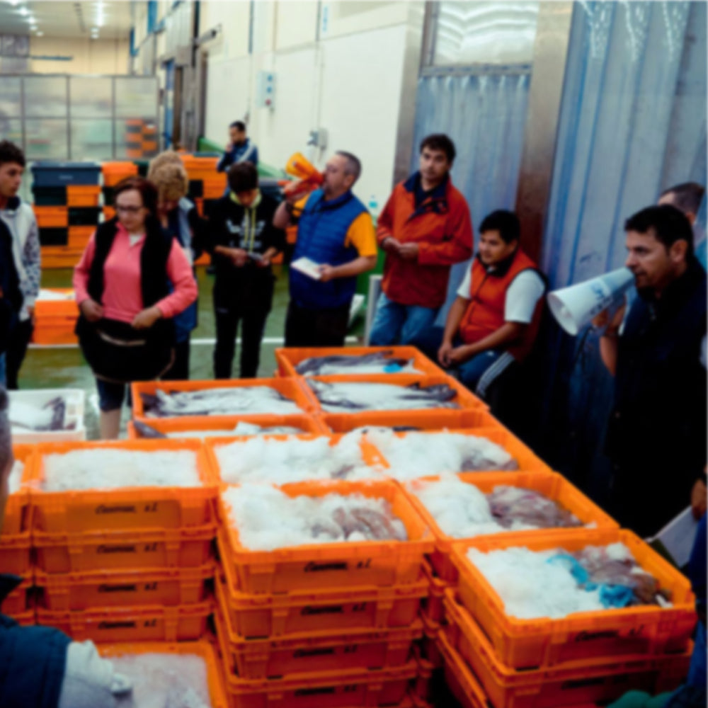 foto de la lona de vigo con personas y pescado en barcas con hielo