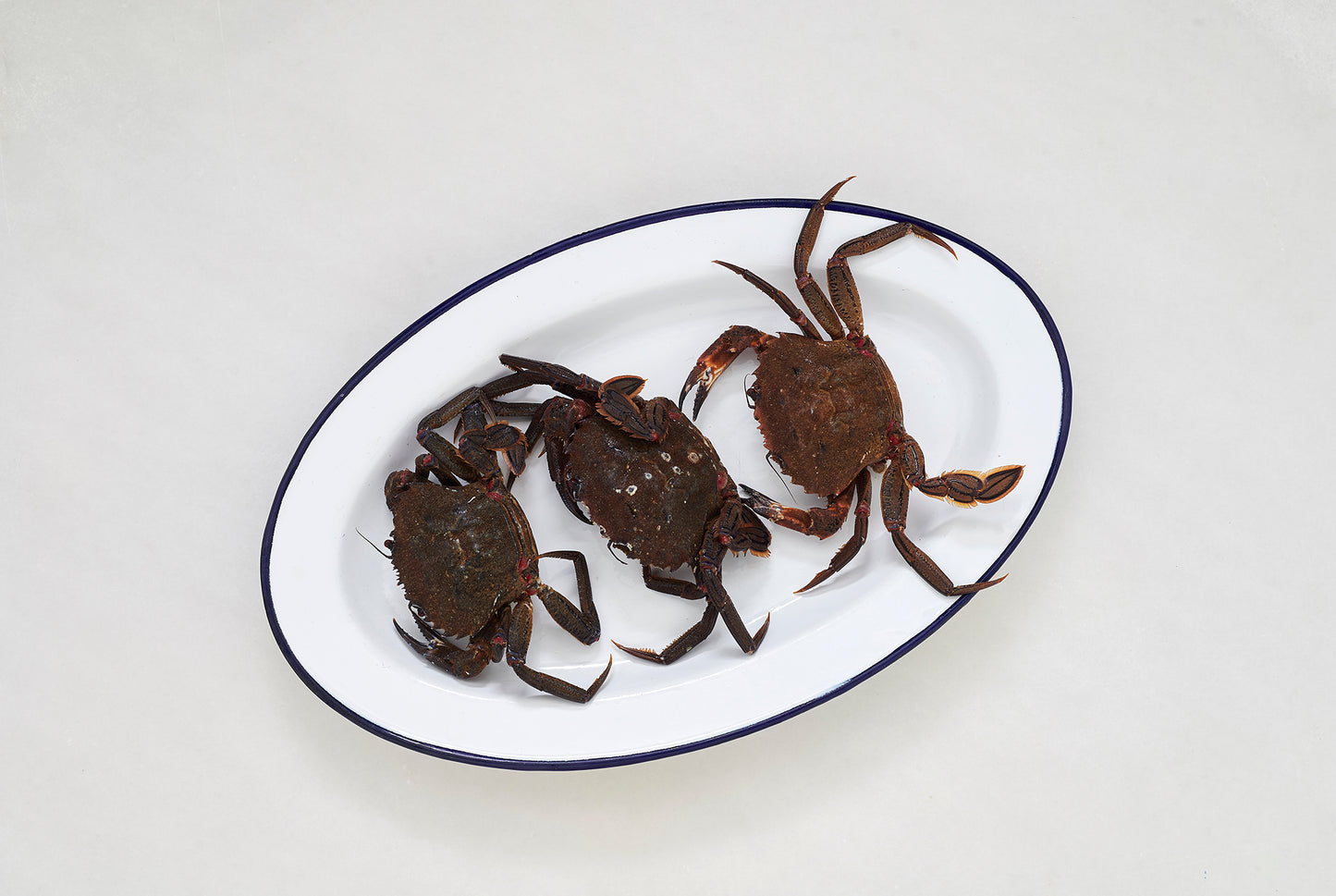 bandeja con tres nécoras