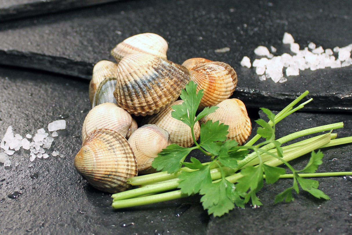 montoncito de berberechos enteros