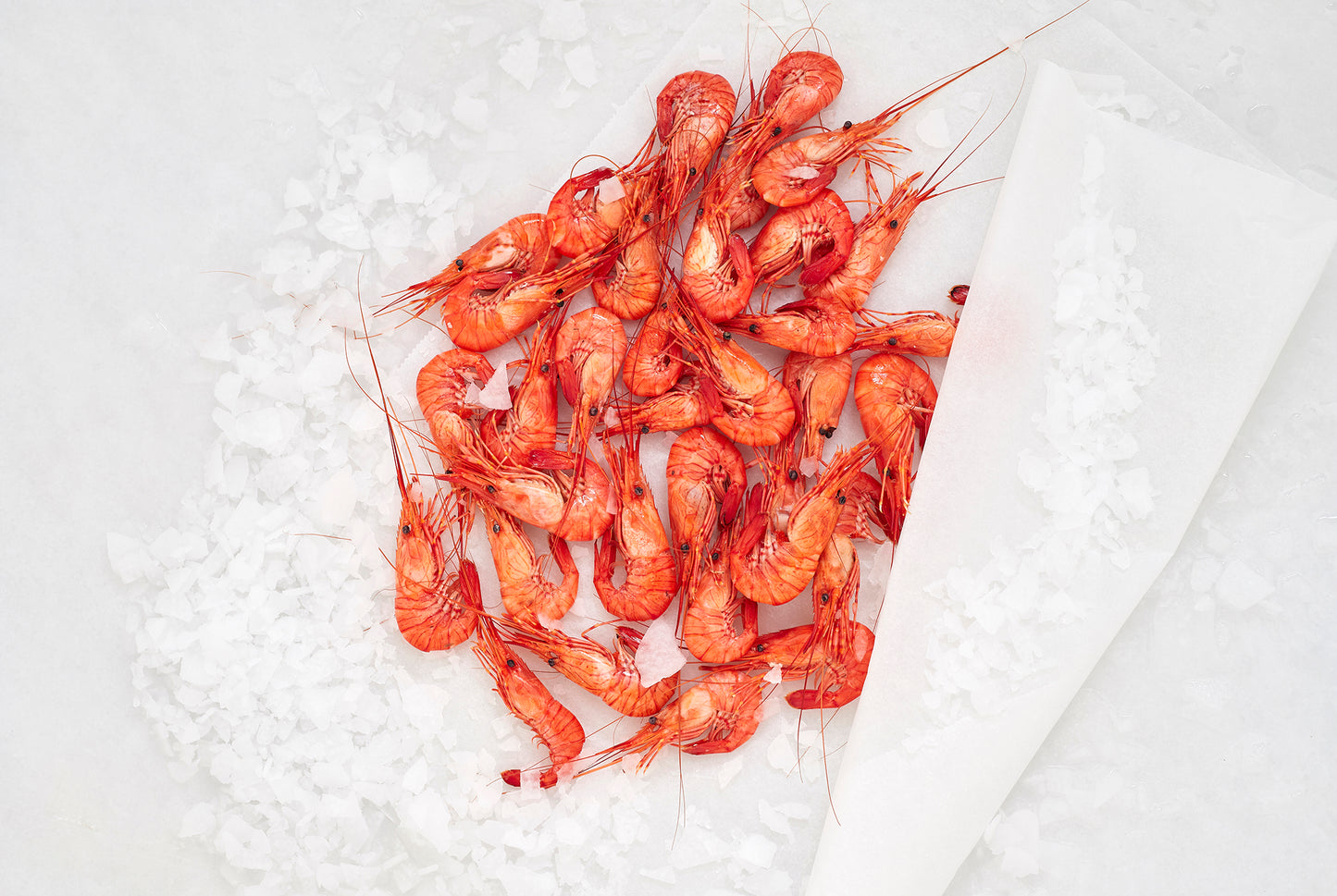 un montón de camarones rojos  cocidos sobre hielo