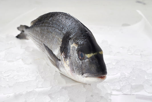 dorada entera con piel y cabeza fresca en vertical sobre hielo