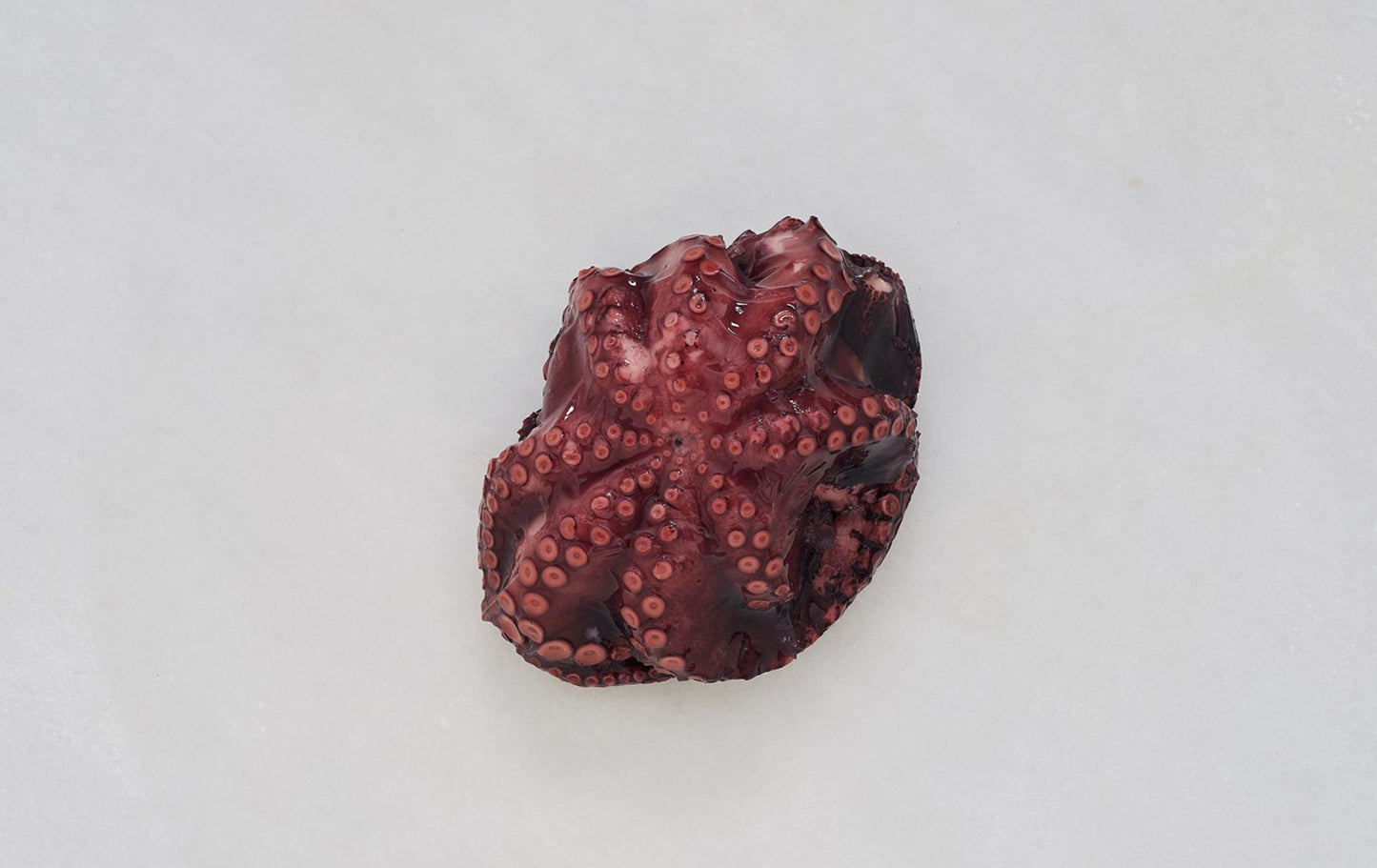 pulpo entero cocido