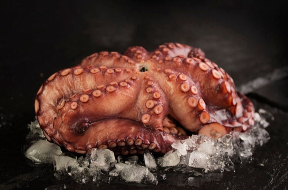 Pulpo cocido entero 350/450