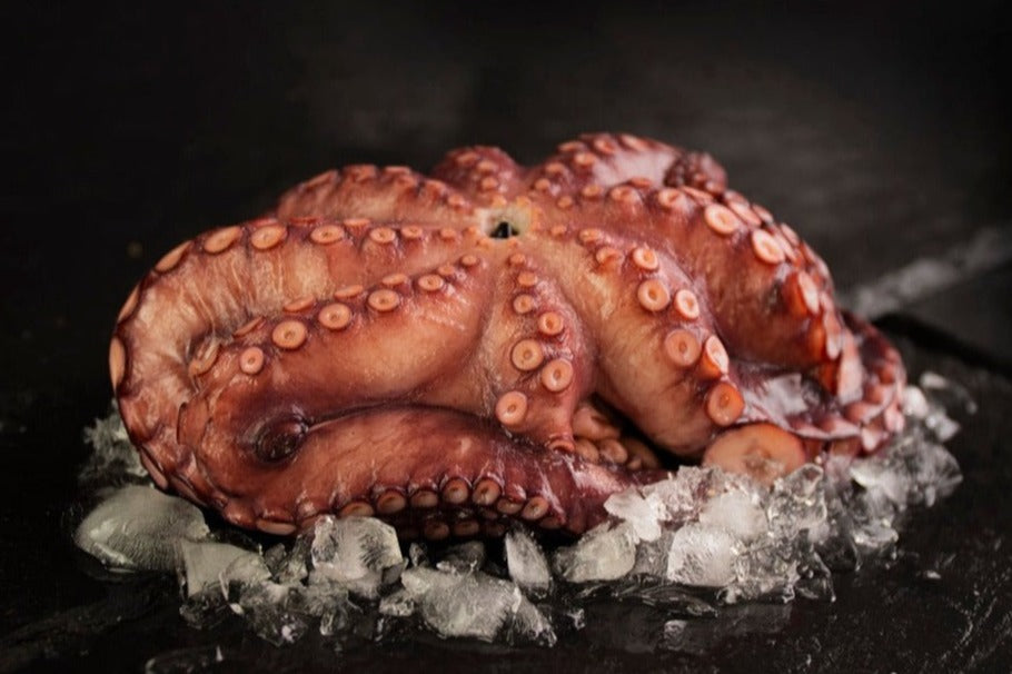 Pulpo gallego de costa fresco