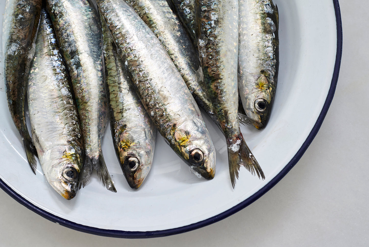 sardinas frescas a domicilio